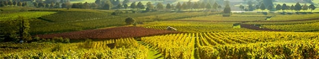 Travelbird : week-ends 2j/1n en hôtels 3* & dégustation Travelbird : week-ends 2j/1n en hôtels 3* & dégustation