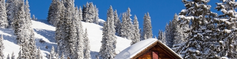 Le ski Le ski