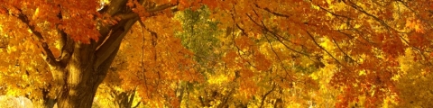 5 idées de week-ends pour le pont de novembre 5 idées de week-ends pour le pont de novembre