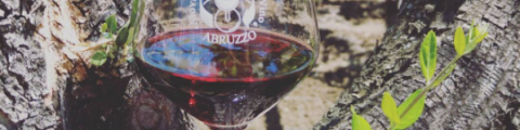 Une fontaine à vin gratuite et illimitée en Italie. Non vous ne rêvez pas ! Une fontaine à vin gratuite et illimitée en Italie. Non vous ne rêvez pas !