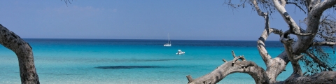 Les 15 plus belles plages de Corse Les 15 plus belles plages de Corse