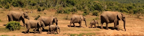 Afrique du Sud Afrique du Sud
