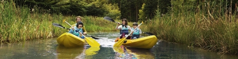Pourquoi Center Parcs est la destination idéale pour des vacances en famille ? Pourquoi Center Parcs est la destination idéale pour des vacances en famille ?