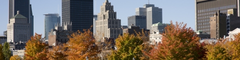 10 activités gratuites à faire à Montréal 10 activités gratuites à faire à Montréal
