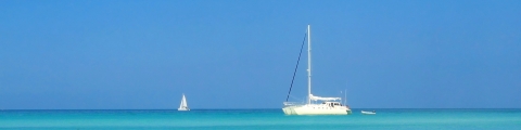 Jamaïque : 8j/7n vols + hôtel pour 515€/personne ! Jamaïque : 8j/7n vols + hôtel pour 515€/personne !