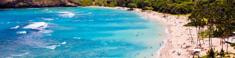 Erreur de tarif : Hawaï à partir de 327€ AR/personne ! Erreur de tarif : Hawaï à partir de 327€ AR/personne !