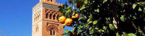Top 10 des lieux à visiter à Marrakech Top 10 des lieux à visiter à Marrakech