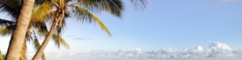Réunion Réunion