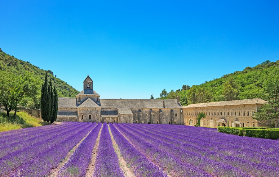 Vaucluse en Provence  bons plans et promos Vaucluse en Provence