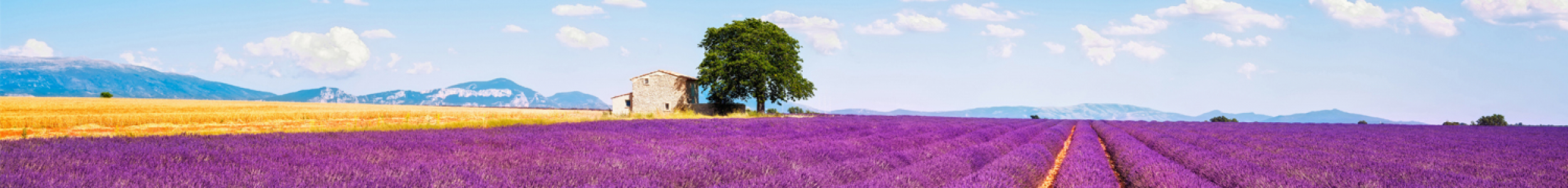 France France