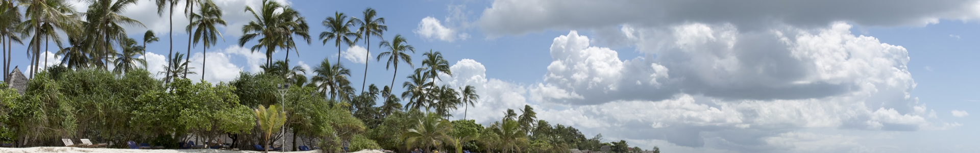 Zanzibar Zanzibar