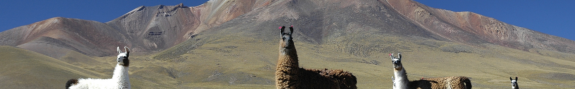 Bolivie Bolivie