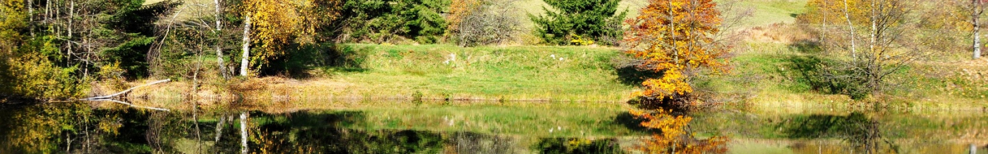 Les Vosges Les Vosges