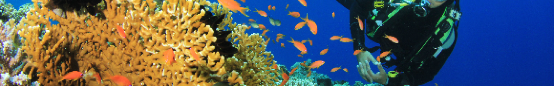 La Mer Rouge La Mer Rouge
