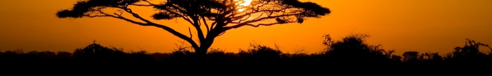 La Tanzanie La Tanzanie