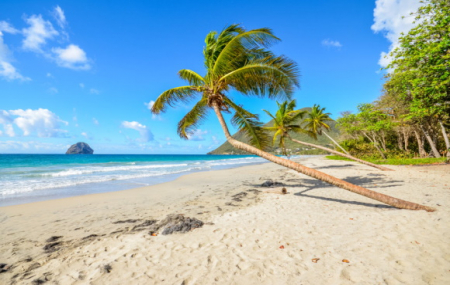 Martinique : séjour 9j/7n en hôtel bord de mer, vols inclus