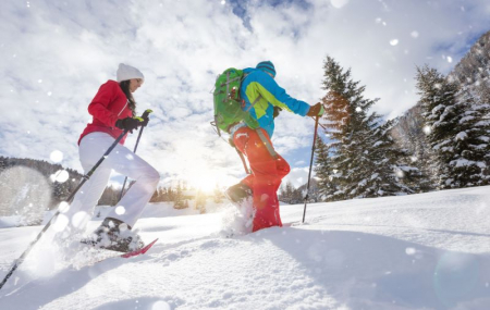 Activités au ski : raquettes, chiens de traîneau, snowboard, luge, ski de fond...