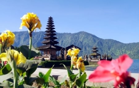 Indonésie : séjours 8j/6n à Bali en hôtel 2*