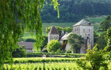 Bourgogne, sud Auxerre : week-end 2j/1n en auberge + petit-déjeuner + dîner, - 42%
