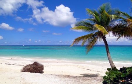 Caraïbes : croisière 9j/7n en Costa 5*, pension complète, - 25%