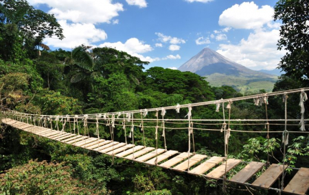 Costa Rica : circuits 13j/11n et plus en hôtels + pension + excursions & activités