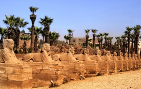 Egypte, vente flash : croisière 5* 8j/7n en pension complète + vols 