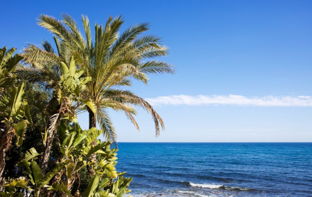 Espagne, Costa del Sol : séjour 8j/7n en hôtel-club 4* tout compris + vols