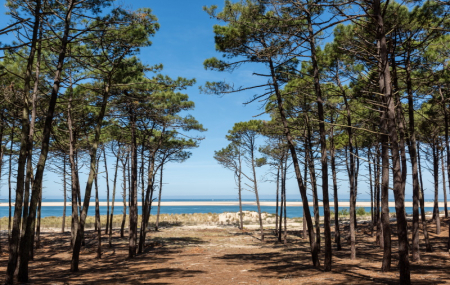Landes, camping 4* : 8j/7n en mobil-home avec accès direct à la plage + parc aquatique, - 38%