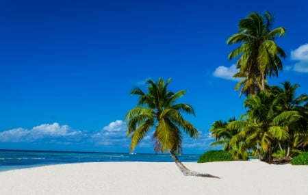Martinique, Guadeloupe, La Réunion... : séjours 9j/7n en hôtels de charme