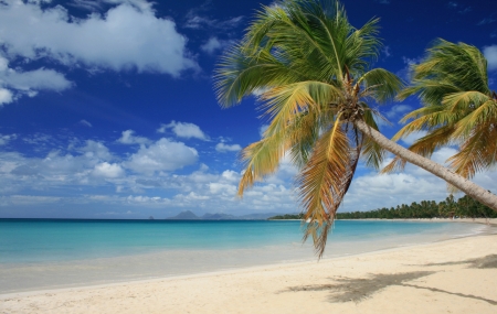 Martinique : séjour 8j/7n en club 3* tout compris, - 35%