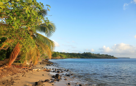 Martinique  : séjour 9j/7n en hôtel bord de mer, vols inclus