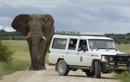 Namibie : circuit accompagné de 15 jours, randonnée & safari