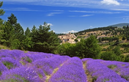 Provence : location 8j/7n en camping naturiste 4* avec piscine