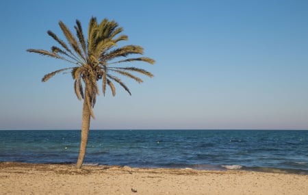 Djerba : séjours 8j/7n en hôtels 3* à 5* tout compris, vols inclus