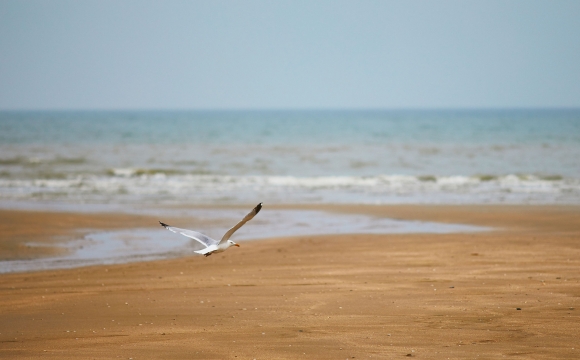 Les 10 Plus Belles Plages De La Côte Atlantique Lofficiel