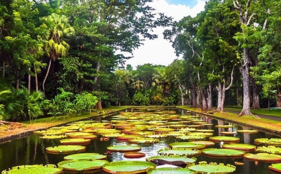 10 raisons de partir à l'Île Maurice en basse saison - Découvrez la richesse préservée de la nature mauricienne !