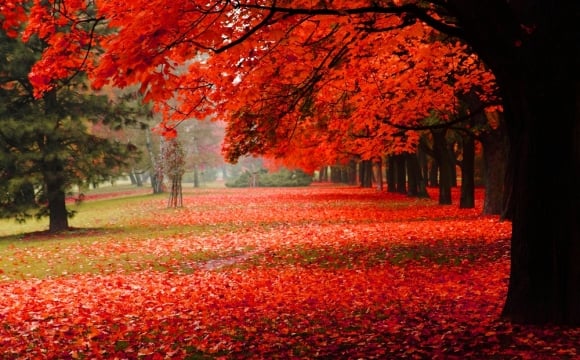 Top Des 10 Plus Beaux Paysages D Automne