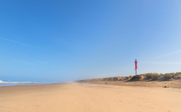 Les 10 plus belles plages de la Côte Atlantique - La Palmyre et son zoo