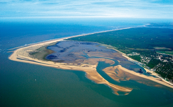 Les 10 plus belles plages de la Côte Atlantique - La Palmyre et son zoo