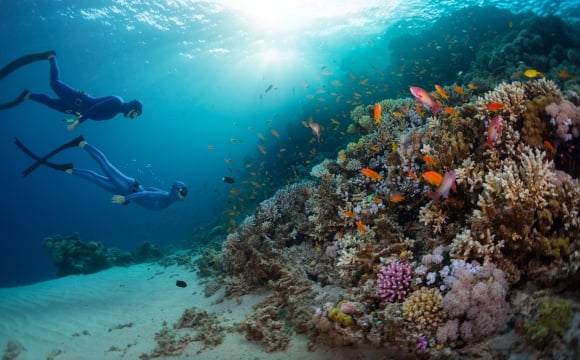 10 voyages à faire une fois dans sa vie - Plonger sur la Grande Barrière de Corail