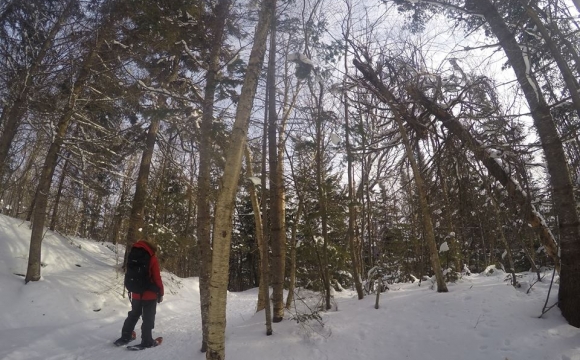 10 visites immanquables au Québec par Bird of Passage America - Le Parc National de Mont Tremblant
