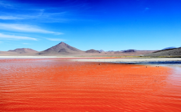 Top 10 des destinations les plus colorées du monde - LAGUNA COLORADA, Bolivie