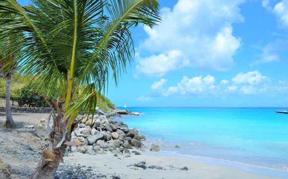 Location de voiture en Martinique : nos conseils ! - Quand réserver sa location de voiture en Martinique ?