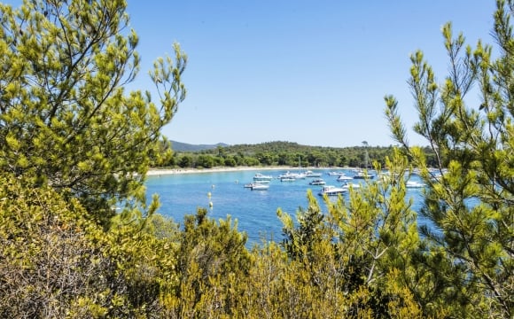 10 visites inratables sur la Côte d'Azur - Bormes les mimosas