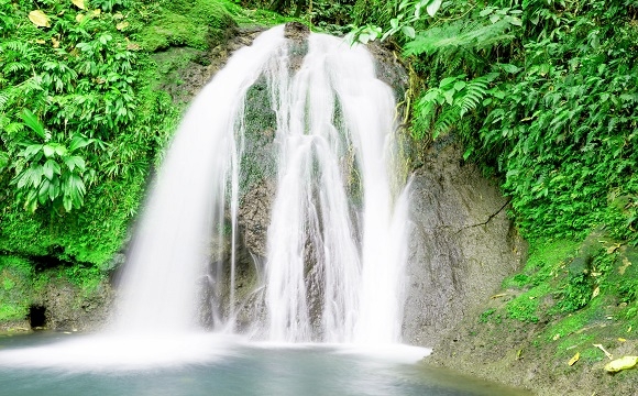 Top 10 des activités à faire en Guadeloupe - Découvrez des rivières et cascades