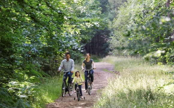 Les Bois-Francs, le domaine Center Parcs idéal pour se détendre - Un écrin de verdure à 1h30 de Paris