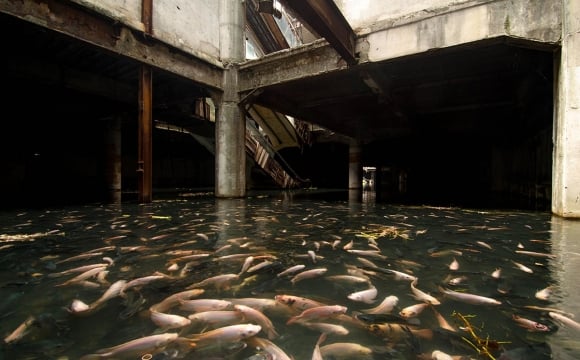 10 lieux qui font frissonner - Un centre commercial abandonné à Bangkok