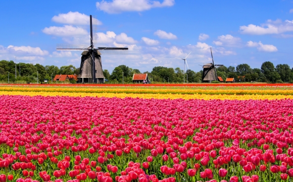 10 photos de voyage pour voir la vie en rose - Champs de tulipes, Hollande