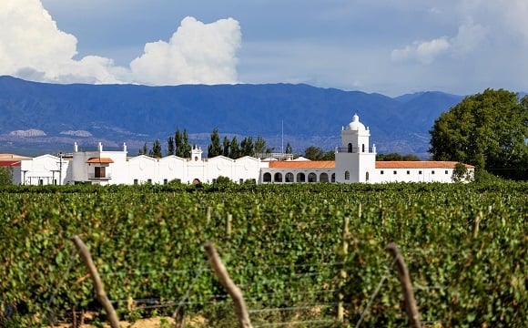 Les 10 raisons de visiter l’Argentine - La longue route des vins
