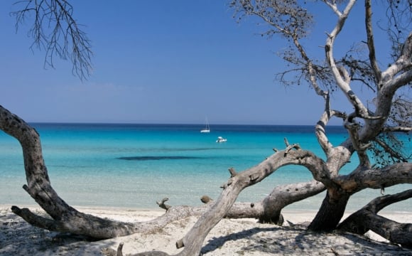 Les 15 plus belles plages de Corse - Plage du Lotu